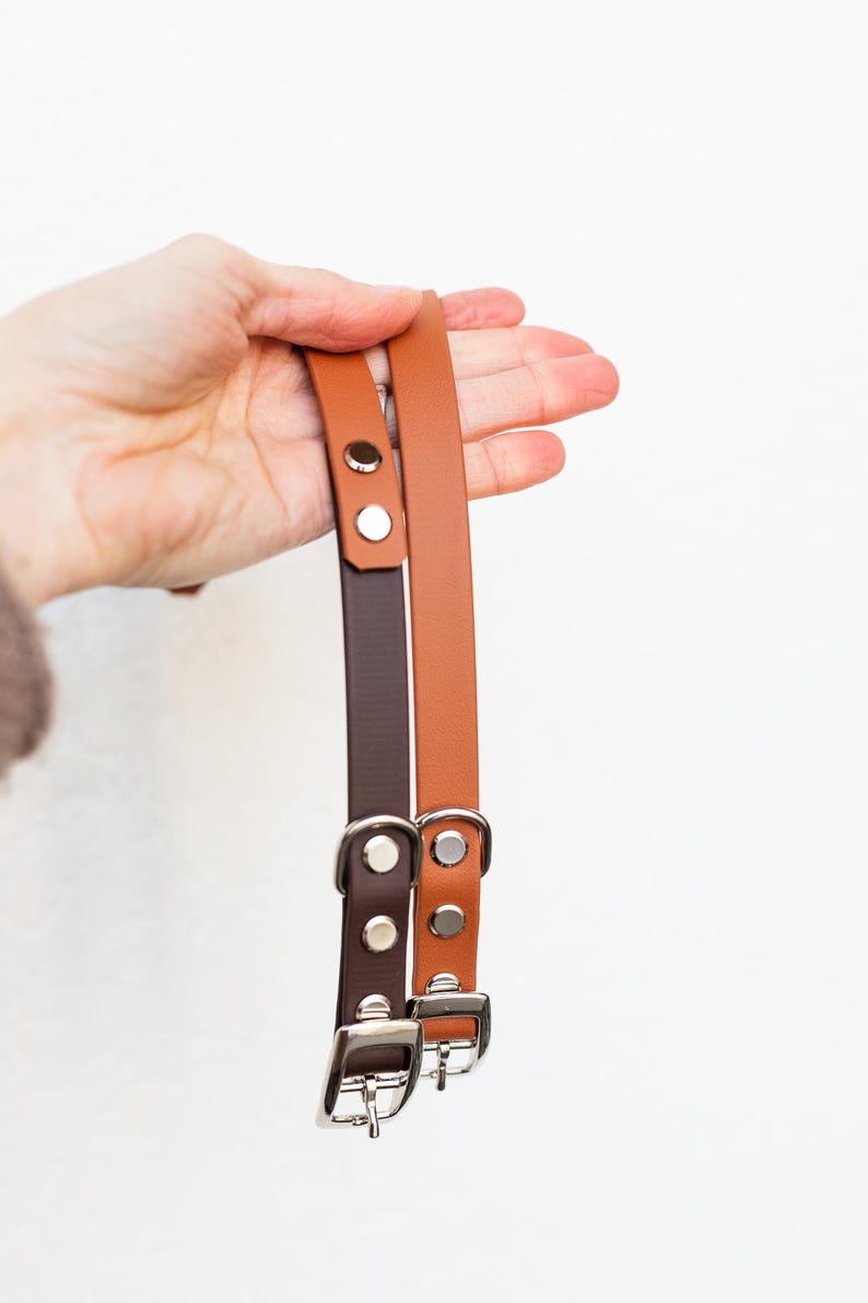 May include: Two leather dog collars, one brown and one tan, are held up against a white background. Each collar has a silver buckle and matching silver rivets. The collars are made of a smooth, solid material.