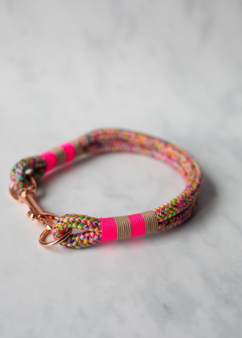 May include: A colorful dog collar made of braided rope. The collar features a vibrant mix of rainbow colors, accented with bright pink and tan bands. It has a rose gold-colored clasp.