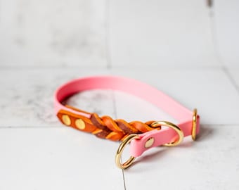 Collier étrangleur MIA Biothane et cuir | Collier pour chien | Collier pour chien | Chien cadeau