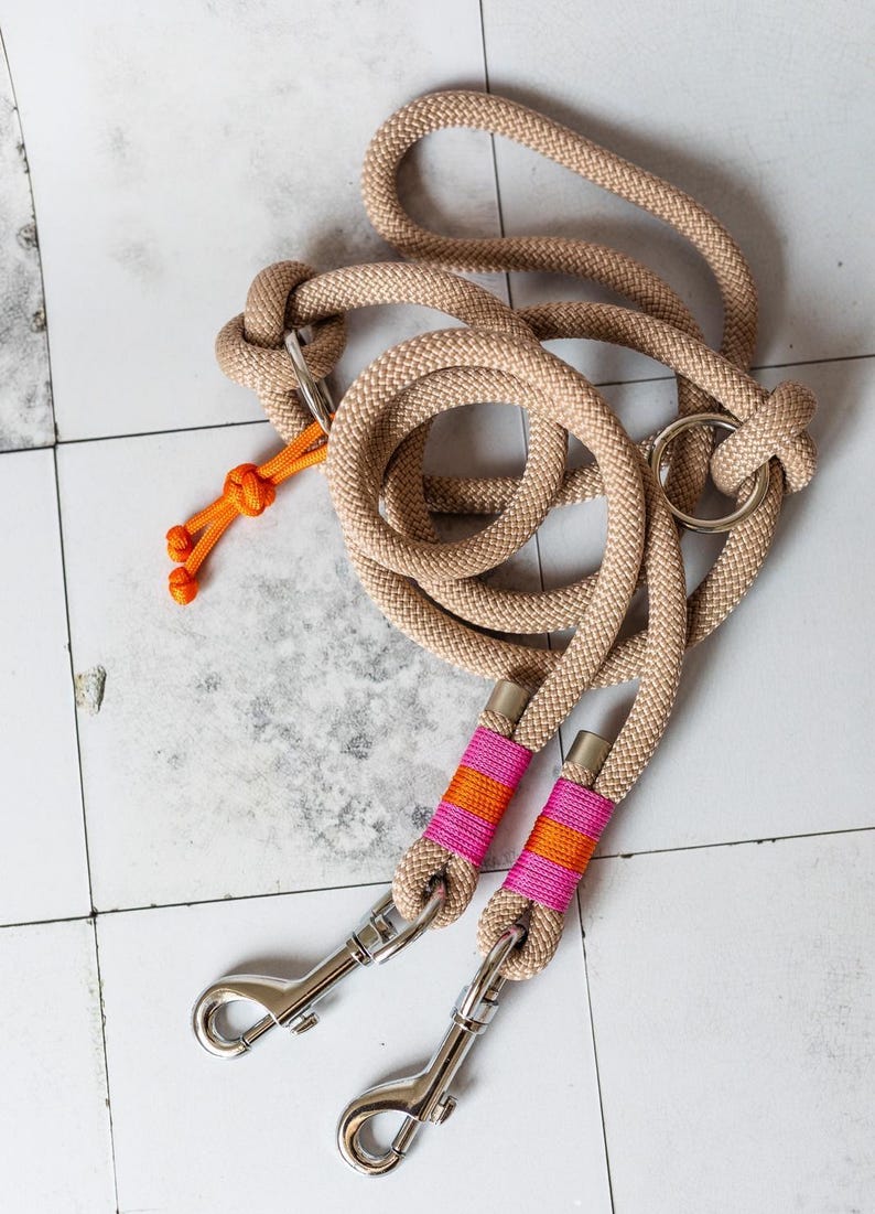 Tauleine für Hunde