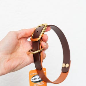May include: A brown and tan dog collar with a gold-colored buckle and hardware. The collar is held by a hand, and a product tag is attached. The collar appears to be made of leather or a similar material.