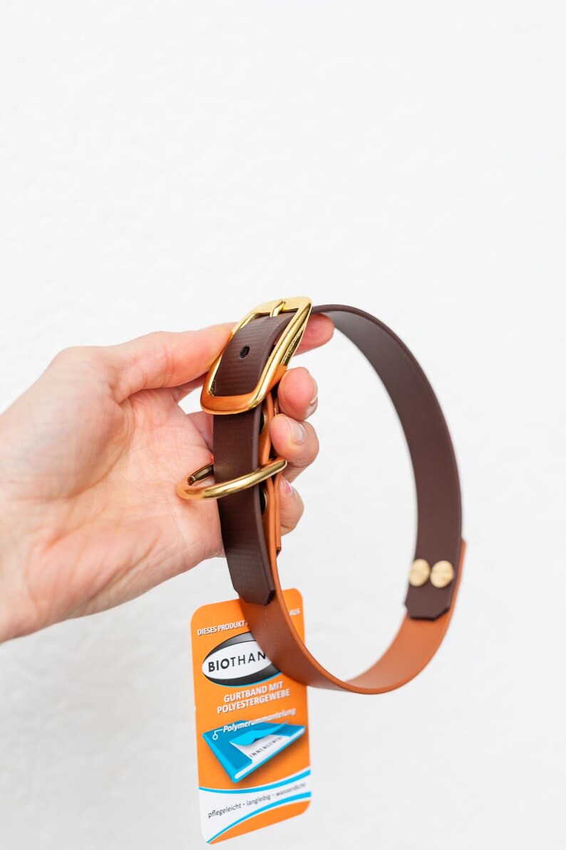 May include: A brown and tan dog collar with a gold-colored buckle and hardware. The collar is held by a hand, and a product tag is attached. The collar appears to be made of leather or a similar material.