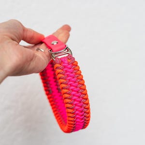 May include: A vibrant dog collar in shades of pink and orange, featuring a braided design. The collar has a bright pink leather strap with a silver metal buckle. The collar is held against a white background.
