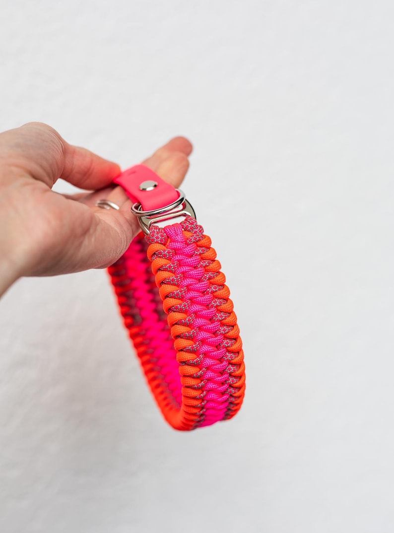May include: A vibrant dog collar in shades of pink and orange, featuring a braided design. The collar has a bright pink leather strap with a silver metal buckle. The collar is held against a white background.