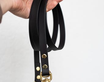BioThane Leash | BioThane, the original from America (Ohio) Dog Leash | Lead | Various Lengths | 13 mm, 16 mm and 19 mm Wide |