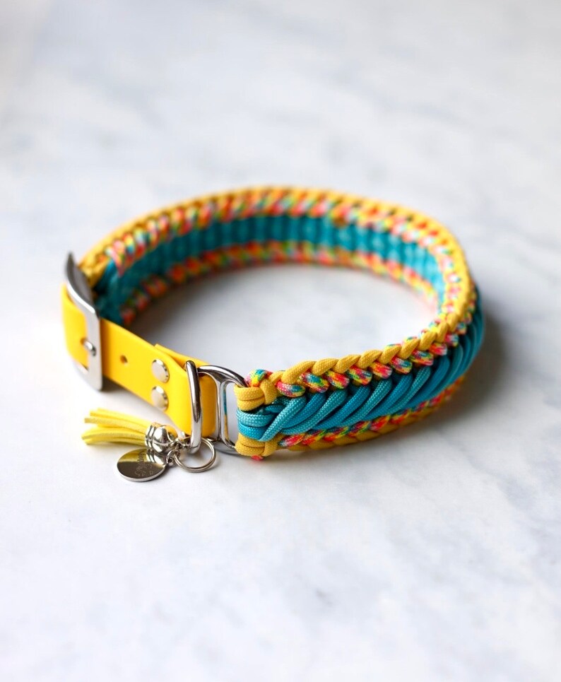 May include: A pet collar featuring a yellow strap with a silver buckle and D-ring. The collar is decorated with braided paracord in yellow, teal, and a multi-colored pattern. A small yellow tassel and a round silver metal tag are attached.