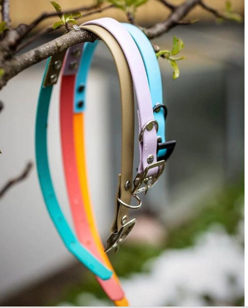 Biothane Hundehalsband