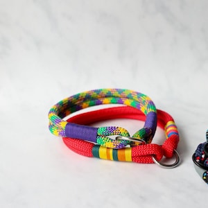 Instant purchases DAISY slip collar, rope collar, dog, dog accessories, climbing rope dog collar, slip