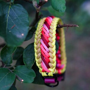 May include: A braided paracord collar featuring a vibrant pattern of neon yellow, bright pink, and deep burgundy cords. The design incorporates a complex weave with a black metal D-ring and a matching black buckle closure at the base of the collar.