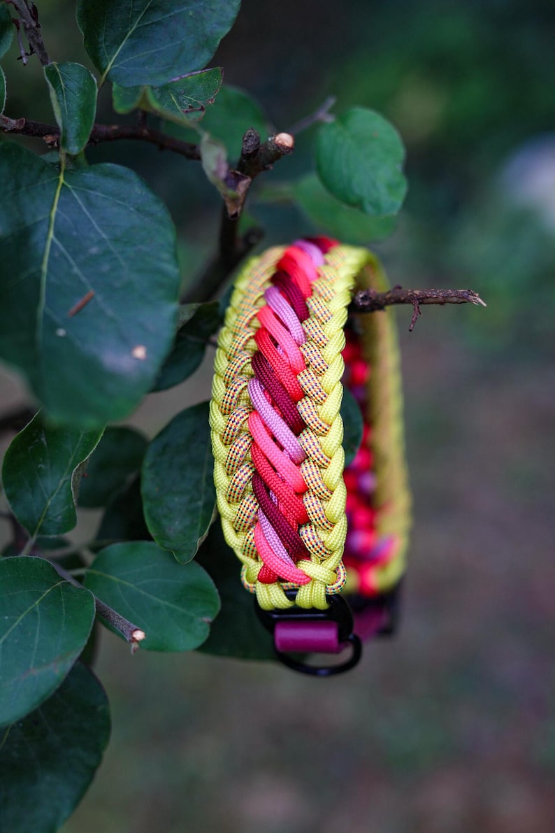 May include: A braided paracord collar featuring a vibrant pattern of neon yellow, bright pink, and deep burgundy cords. The design incorporates a complex weave with a black metal D-ring and a matching black buckle closure at the base of the collar.