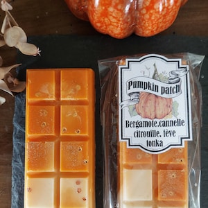 Peut inclure: Un ensemble de six cubes de cire dans un sac en plastique transparent. Les cubes de cire sont orange et blanc et ont un parfum de citrouille. L'étiquette sur le sac indique "Pumpkin Patch" et liste les notes de parfum comme "Bergamote, Cannelle, Citrouille, Fève Tonka".