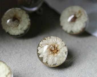 5 Pcs 11.5mm Natural Dry Flower Resin Buttons with Shank, Botanic Sample Buttons, Floral Art Buttons, Unique Buttons for Sewing and Crafts