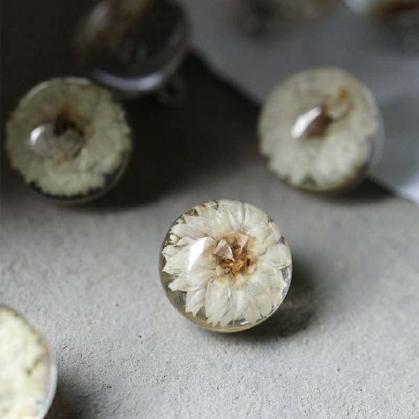 5 Pcs 11.5mm Natural Dry Flower Resin Buttons with Shank, Botanic Sample Buttons, Floral Art Buttons, Unique Buttons for Sewing and Crafts