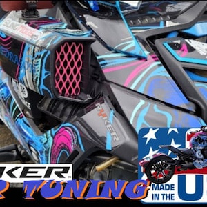 Can-Am Ryker Intake Protective Grills