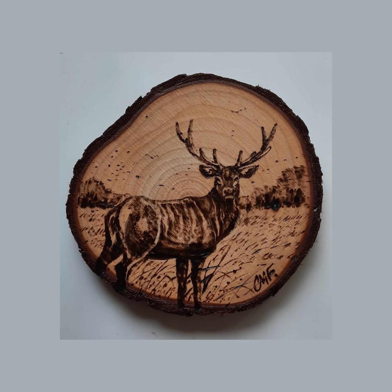 Handburned Wood Coasters: Pyrography Nature Art - Etsy UK