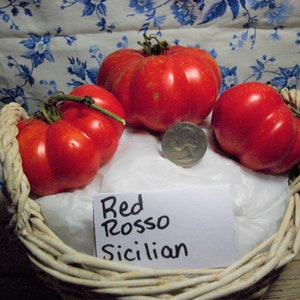 Red Rosso Sicilian Tomato Seeds image 1