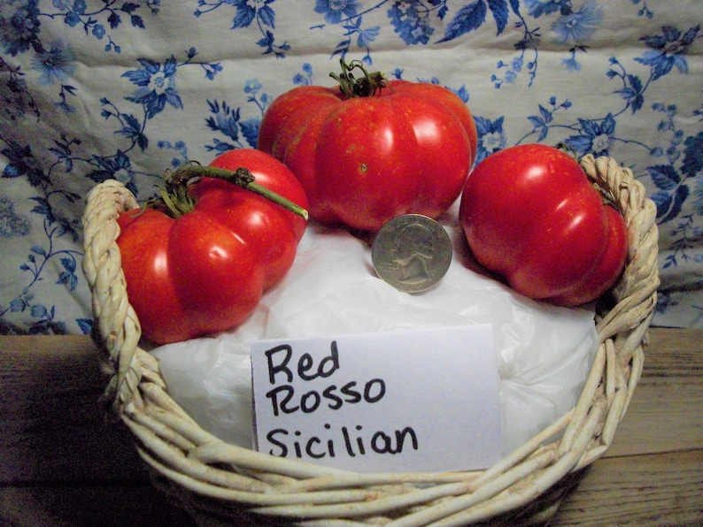 Red Rosso Sicilian Tomato Seeds image 1