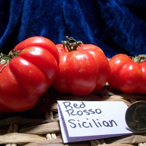 Red Rosso Sicilian Tomato Seeds image 2