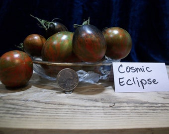 Cosmic Eclipse Tomato seeds