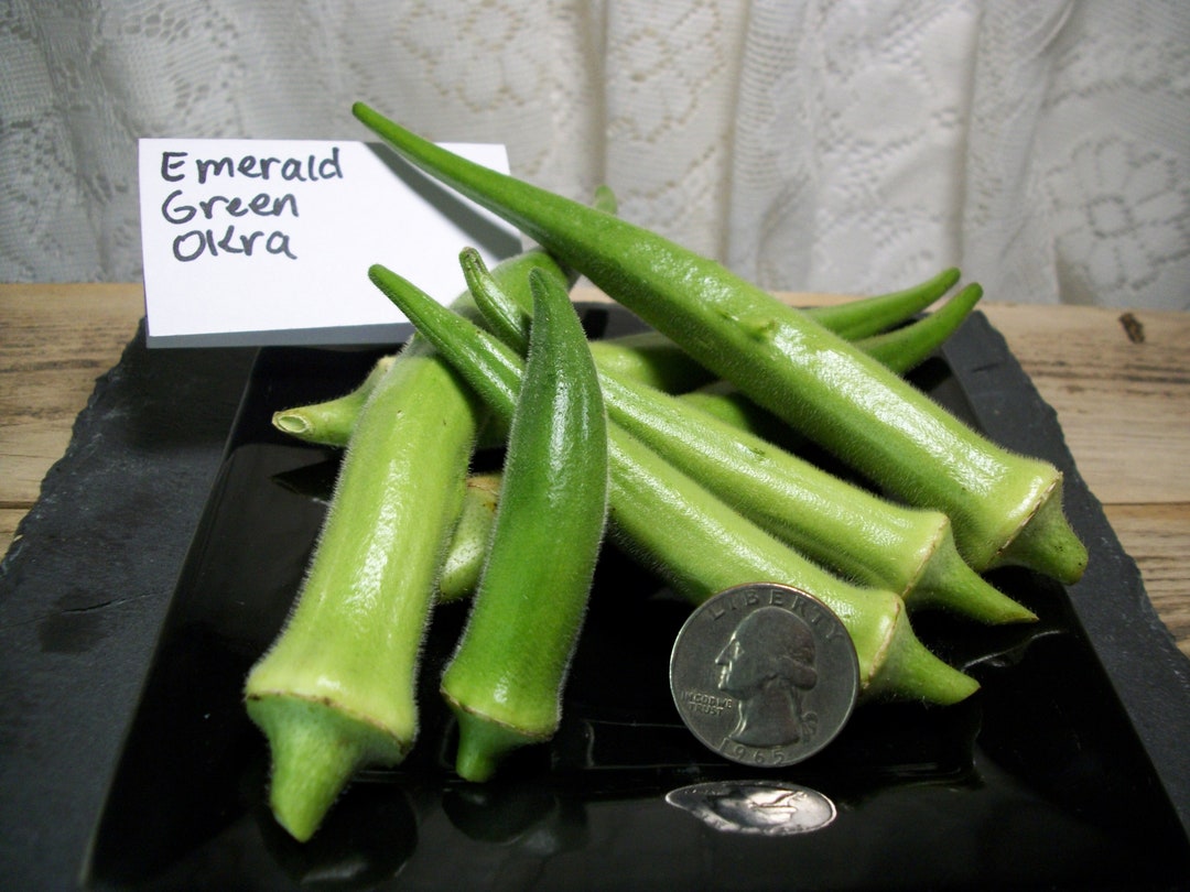Emerald Green Okra Seeds Etsy