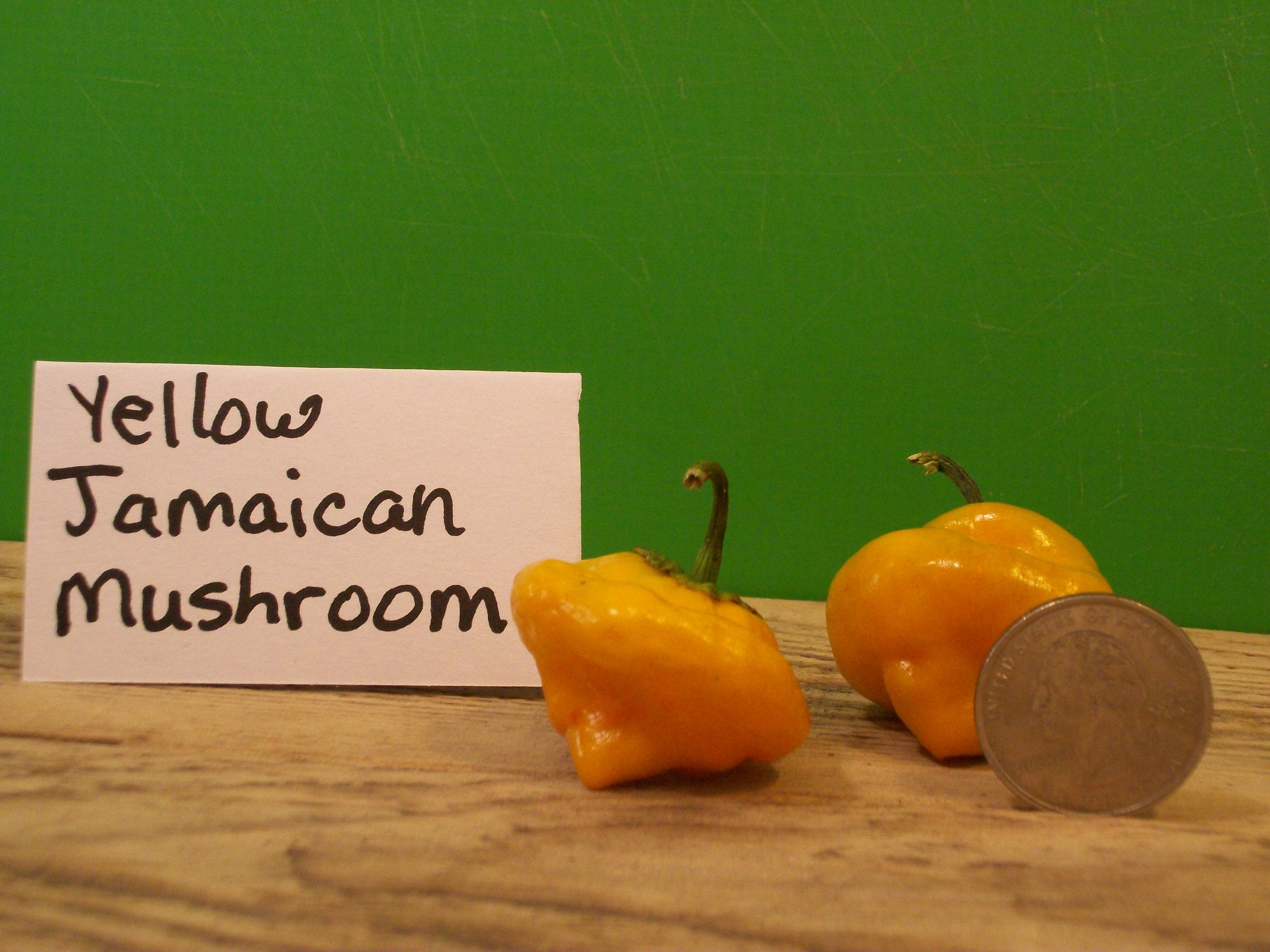 Jamaican Yellow Mushroom Pepper Seeds Etsy