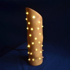Maple wood LED light, unique and handmade, dynamic light patterns, adjustable brightness and speed, USB powered, unique gift, Christmas gift