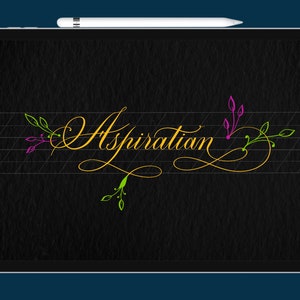 May include: A digital drawing of the word "Aspiration" in gold cursive script with green and purple floral accents on a black background.