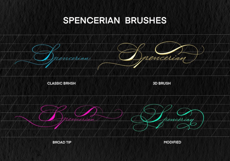 Spencerian Calligraphy Brush for Procreate (digital) - Etsy