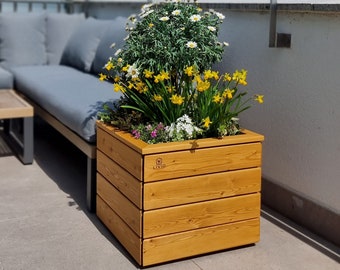 Boîte à plantes en bois parterre de fleurs surélevés, herbes de jardin, jardinière d'extérieur, jardinage de légumes, boîte moderne de jardin, terrasse, décoration de cour