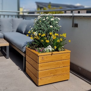 Holz Pflanzkasten Erhöhter Gartenbeet Blumen Kräuter Outdoor Planter Gemüse Gartenarbeit Moderne Box Garten Terrasse Yard Dekoration
