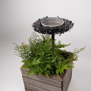 May include: A square wooden planter box with horizontal slats containing a green fern plant. A black metal rod extends from the centre, supporting a circular, nest-like structure that holds a small, light grey, shallow ceramic bowl.