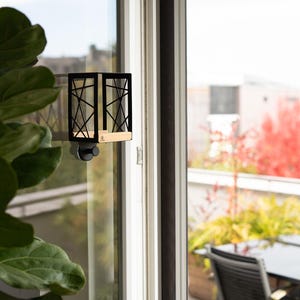 Comedero para pájaros de ventana moderno / Comedero para pájaros de ventana / Diseño minimalista / Diversión para niños / Entretenimiento para gatos / Ventosas / Regalo / Observadores de la naturaleza