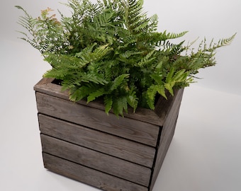 Wooden Plant Box Raised Garden Bed Flower Herbs Outdoor Planter Vegetable Gardening Modern Box Garden Patio Yard Decoration