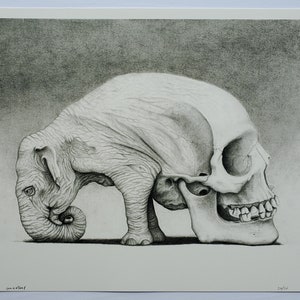 May include: A black and white pencil drawing of an elephant skull. The elephant is depicted in a realistic style, with detailed features and textures. The skull is positioned in a profile view, with the elephant's trunk curled up.