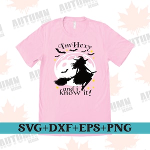 May include: A pink t-shirt with a black silhouette of a witch flying on a broomstick in front of a full moon. The text "I'm Hexy and I know it!" is printed on the shirt.