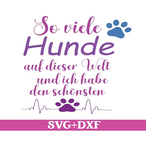 Könnte beinhalten: Lila und blauer Text auf weißem Hintergrund lautet "So viele Hunde auf dieser Welt und ich habe den schönsten" mit einem Pfotenabdruck. Unter dem Text befindet sich ein lilafarbener Pfotenabdruck mit einem Herzschlag-Motiv. Der Text "SVG+DXF" befindet sich in einem rosa Rechteck unten.