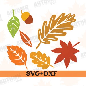 Könnte beinhalten: Ein Set aus sechs Herbstblättern in verschiedenen Orangetönen, Rot und Grün. Die Blätter haben verschiedene Formen, darunter Eiche, Ahorn und einfache Blattformen. Die Blätter sind perfekt für Bastelarbeiten, Scrapbooking oder Dekoration für die Herbstsaison.
