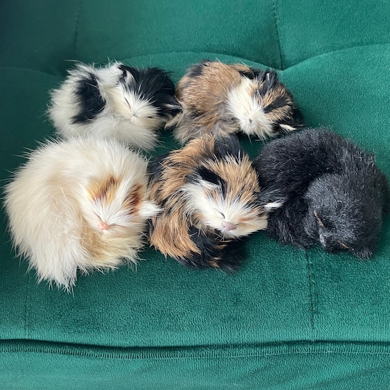 70s Vintage Sleeping Cat Figurines Realistic Kitty Cat Figures