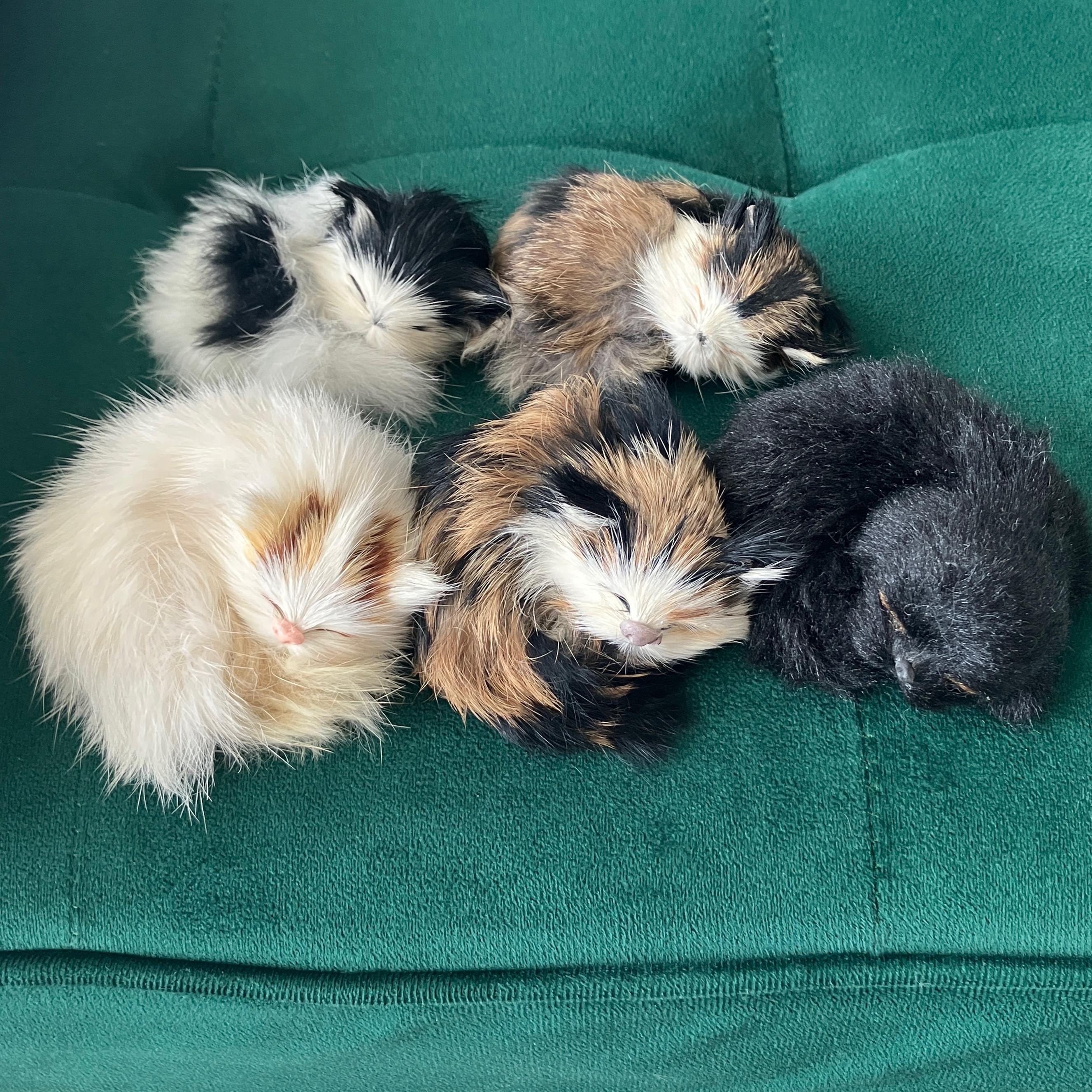 70s Vintage Sleeping Cat Figurines Realistic Kitty Cat Figures