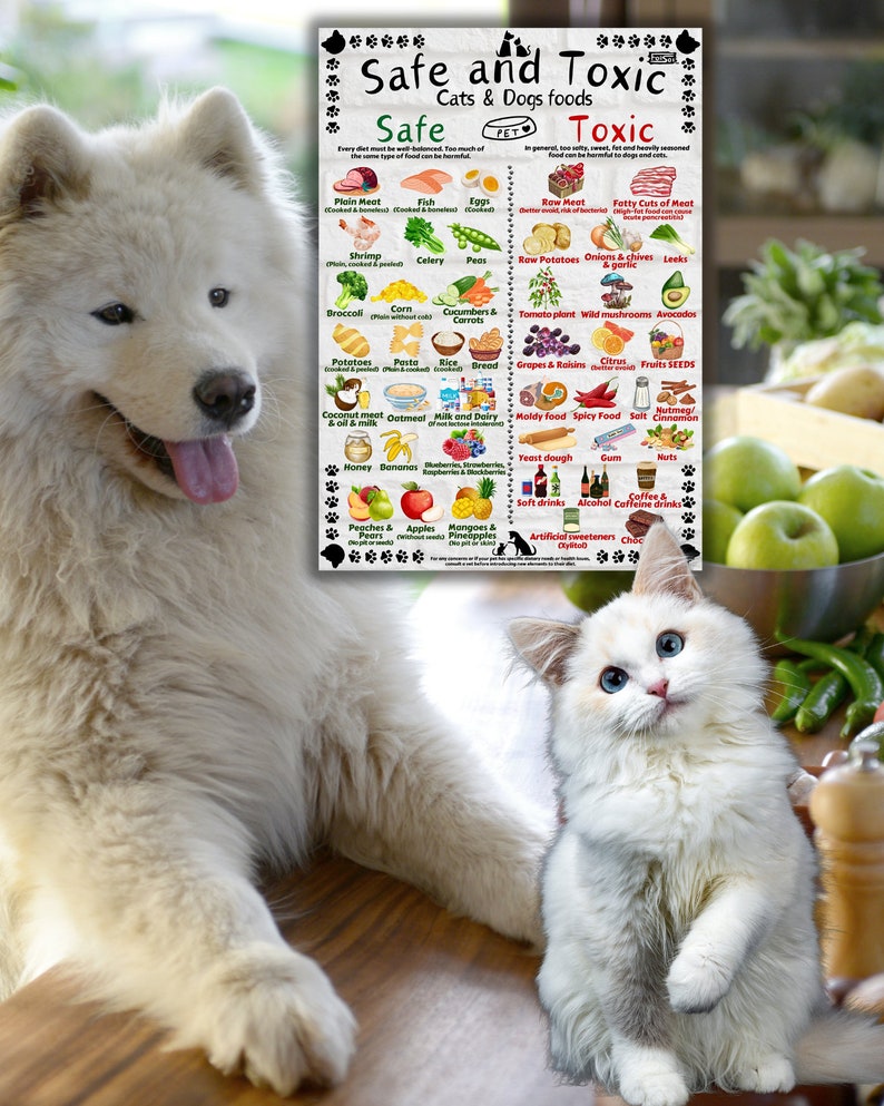 Safe and Toxic Foods for Dogs and Cats PRINTABLE Essential Pet Health Guide image 6