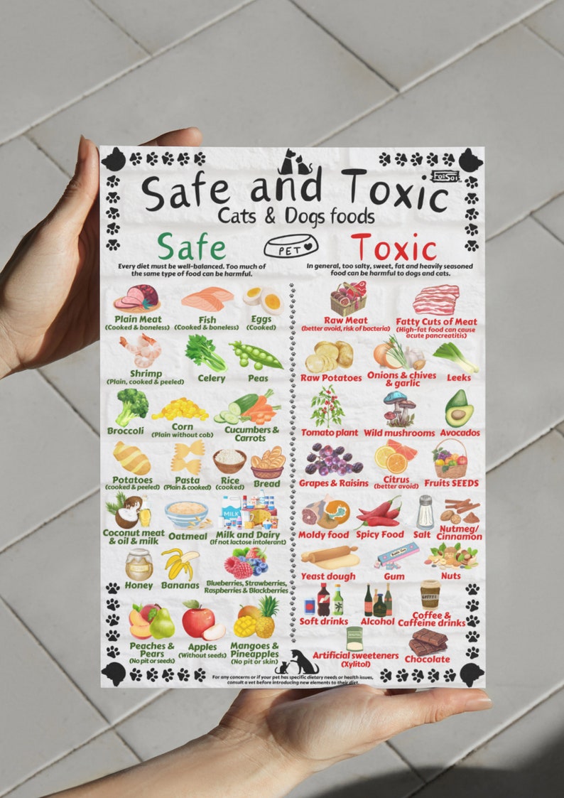 Safe and Toxic Foods for Dogs and Cats PRINTABLE Essential Pet Health Guide image 2