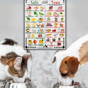 Safe and Toxic Foods for Dogs and Cats PRINTABLE Essential Pet Health Guide image 8