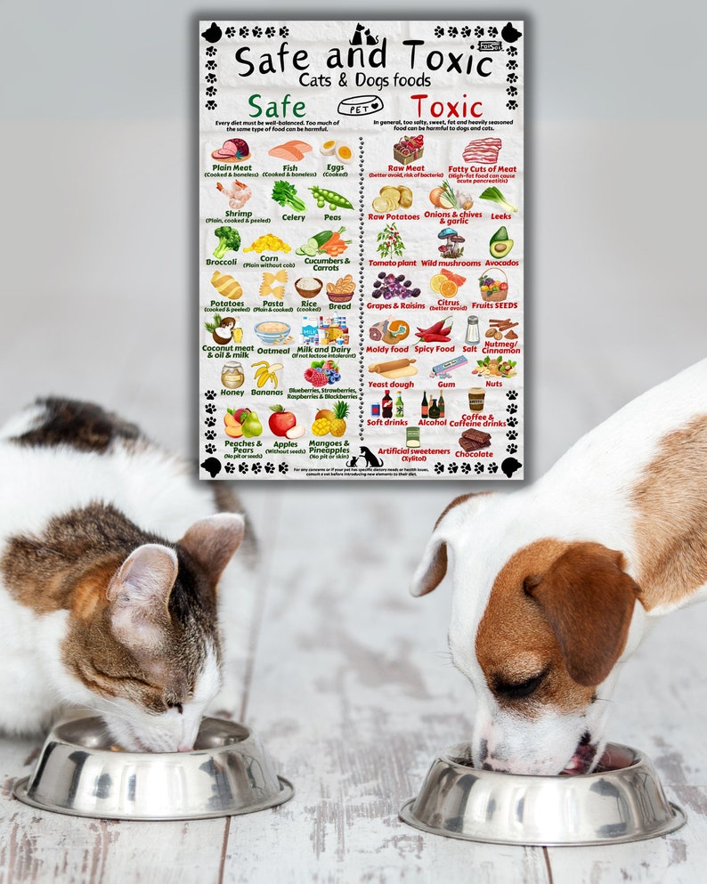 Safe and Toxic Foods for Dogs and Cats PRINTABLE Essential Pet Health Guide image 8