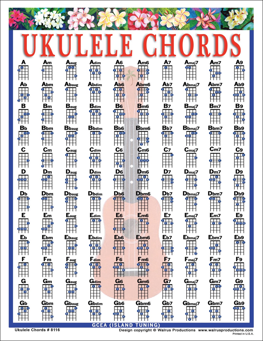 Mini Ukulele Chord Chart Laminated - Ukulele Chords Poster for Beginners  and Musicians - Beginner Ukulele Music Theory Trainer - Ukulele Accessories  