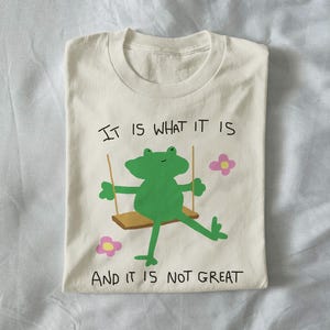 Es lo que es y no es genial - camiseta unisex, camiseta divertida, camiseta tonta, camiseta de rana, camiseta gráfica divertida, camiseta desquiciada,