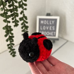 Mini Crochet Ladybird - Handmade Crochet Ladybird Plushie - Valentine’s Crochet Lovebug