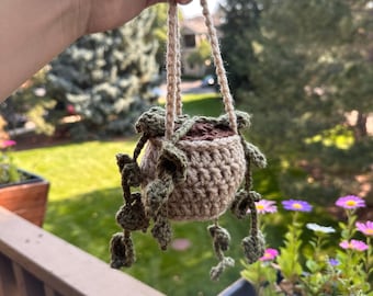 Crochet Hanging Plant