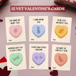 Veterinär-Valentinsgrußkarten, druckbarer Veterinär-Valentinstag, digitale Vet-Tech-Anerkennungskarte, 12 bearbeitbare lustige Vet-Med-Valentinstagskarten