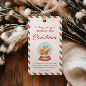 Può includere: Un'etichetta regalo rettangolare a tema natalizio con un bordo a righe rosse e verdi. L'etichetta presenta il testo "It's beginning to smell a lot like Christmas" e una grafica a sfera di neve con bastoncini di cannella e fette d'arancia.