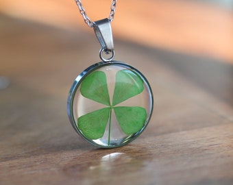 Real 4-leaf clover necklace mounted on a silver stainless steel chain